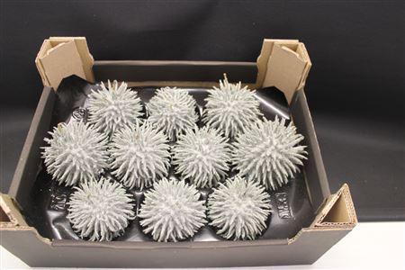 <h4>F-stekel Olijf Glitter</h4>