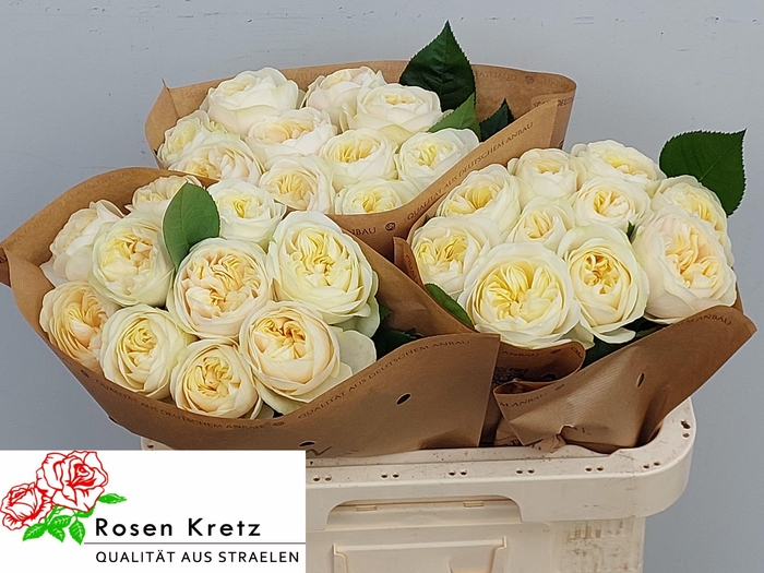 <h4>R GR WEDDING CHAPEL!</h4>