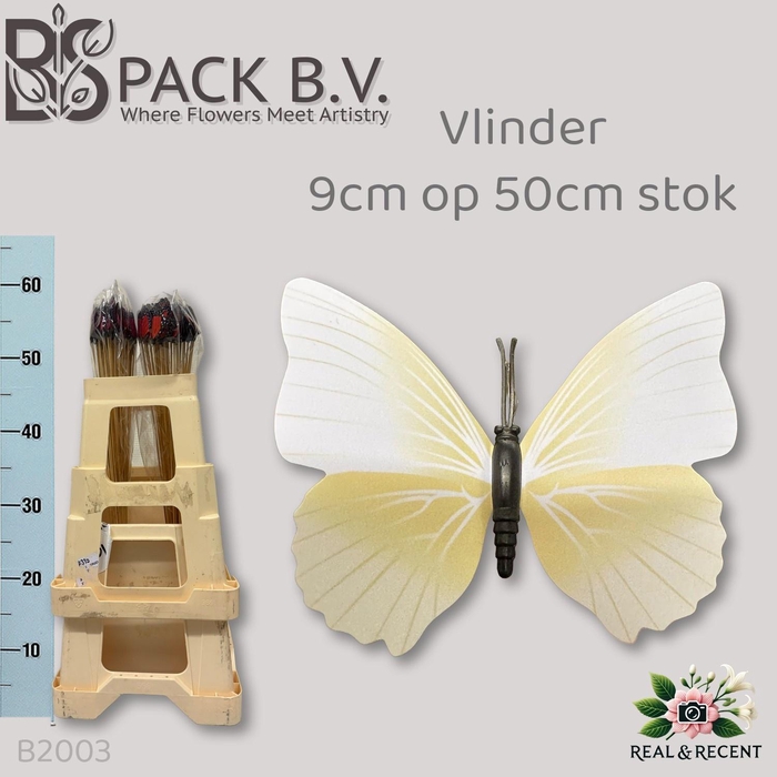 <h4>HUIS EN TUINDECO H%</h4>