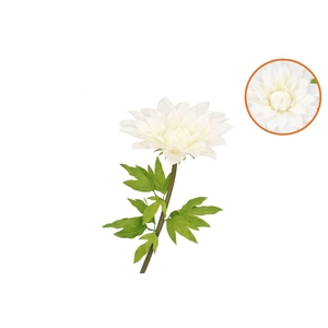 Silk Amazing Dahlia Beauty Cream Xl 43x110cm