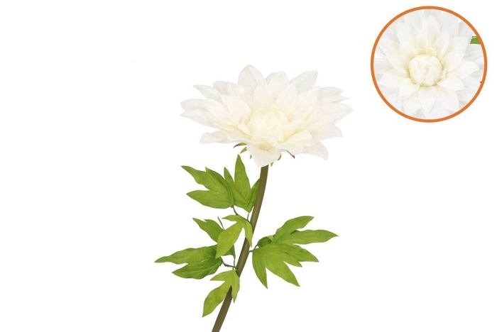 Silk Amazing Dahlia Beauty Cream Xl 43x110cm