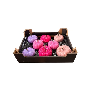 Wax Sierfruit Baby Boo Pink Mix