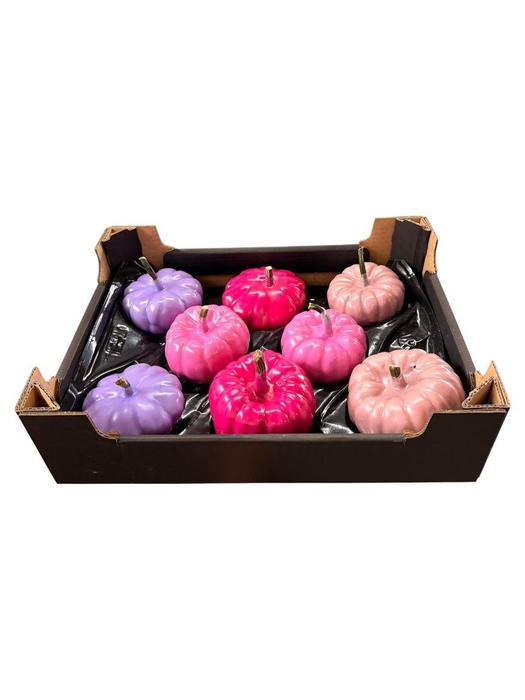 <h4>Wax Sierfruit Baby Boo Pink Mix</h4>