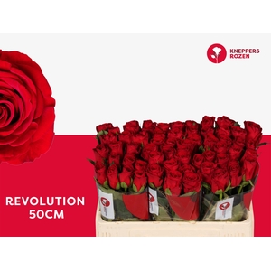 R GR REVOLUTION