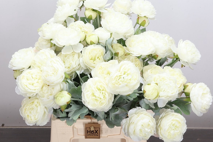 <h4>Deco Stem Ranunculus White X5</h4>