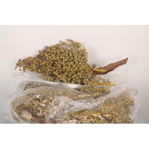 Dadels 5 Kilo Per Stuk