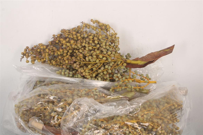 <h4>Dadels 5 Kilo Per Stuk</h4>