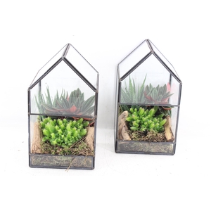 arr3 SN - Glazen huis industrial L x6