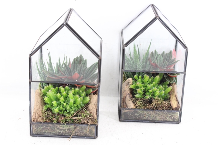 <h4>arr3 SN - Glazen huis industrial L x6</h4>