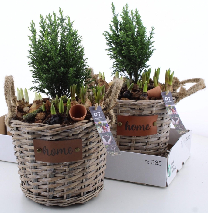 <h4>ARR PL IN SCHAAL</h4>