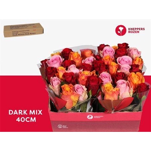 R Gr Dark Mix 40