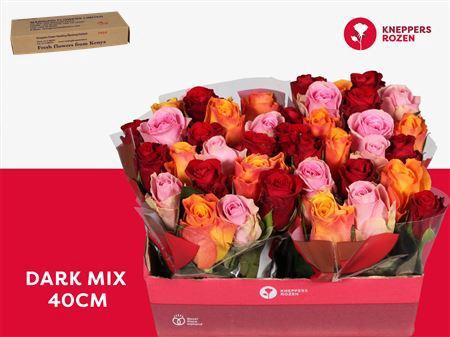 <h4>R Gr Dark Mix 40</h4>