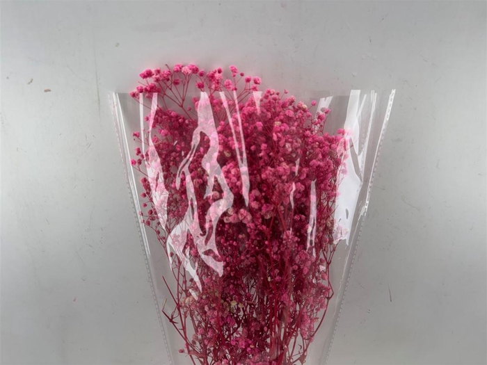 <h4>Pres Gypsophilla Light Pink 100gr Bunch</h4>