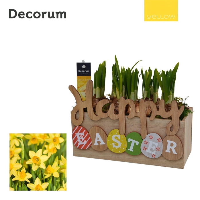 <h4>Narcis Happy Easter HL15825 [YELLOW]</h4>