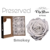 Preserved rosa smokey