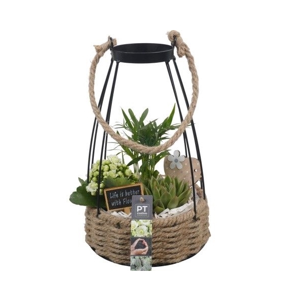 <h4>PTIB6602 Arrangement Indoor in touw mand met metaal</h4>