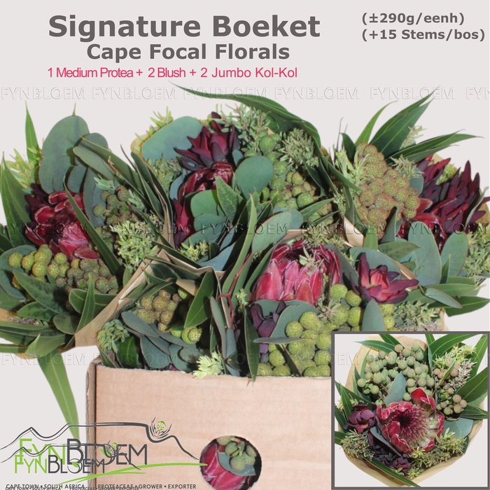 <h4>PROTEA PER BOS</h4>