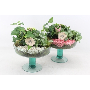 arr2 PL - Glas op voet Sofia - roze/wit