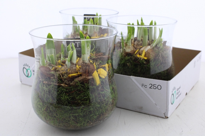 <h4>ARR N TETE A TETE</h4>