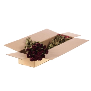 Roses 'bright Torch' 20pc Sb Natural Dark Red