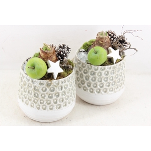 arr4 Amaryllis MB - Ker. pot dots white 338/6