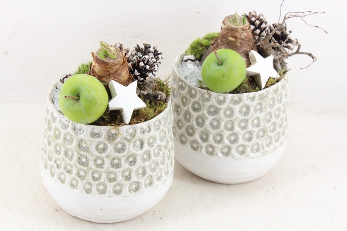 <h4>arr4 Amaryllis MB - Ker. pot dots white 338/6</h4>