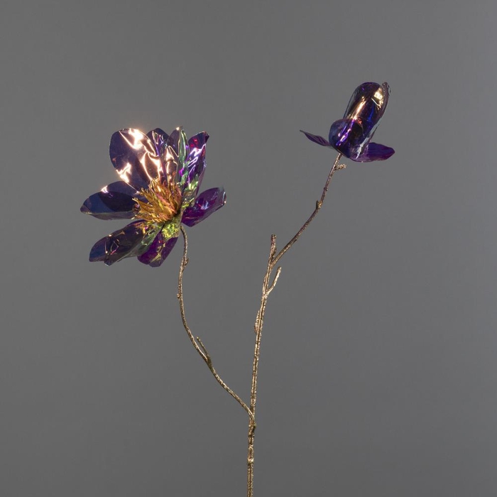 <h4>AF Irid. Magnolia Spr x2 L64</h4>