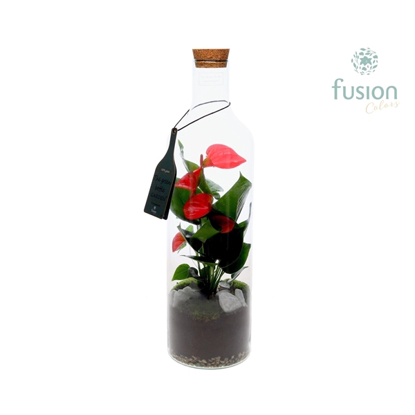 <h4>Green Bottle Fles Large met Anthurium</h4>