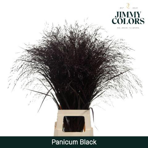<h4>Siergras L90 Klbh. zwart</h4>