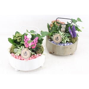 arr2 PL - Etagere rond - roze/lila