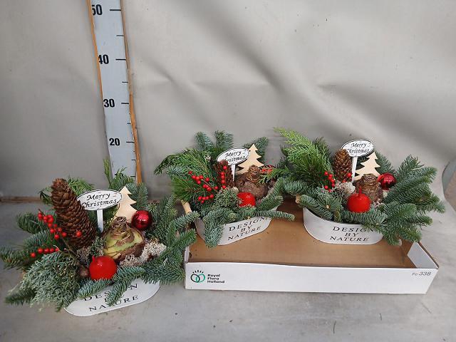 <h4>ARR KERST H%</h4>