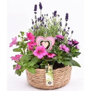 Touwmand laag 19,5cm