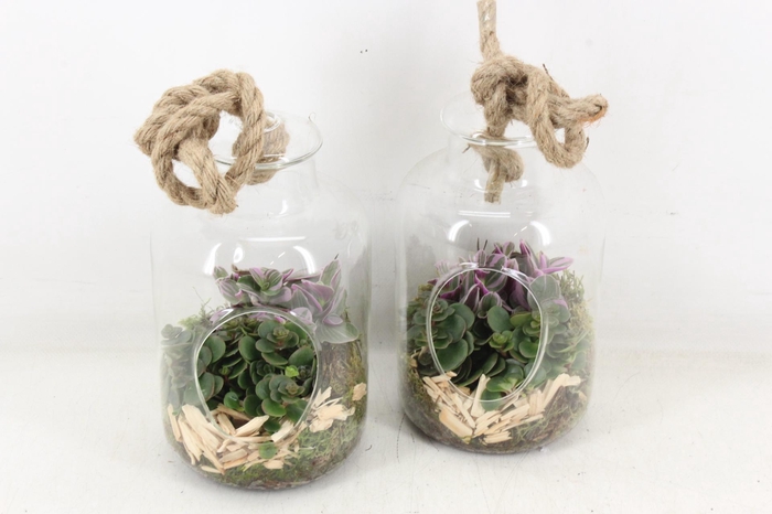 <h4>arr3 SN - Glasvaas touw x6</h4>