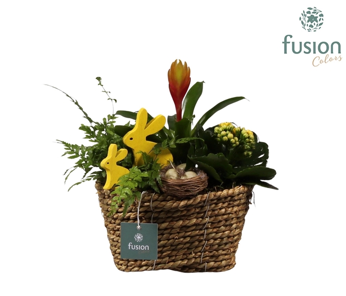 <h4>Pasen zeegras mand ovaal klein</h4>