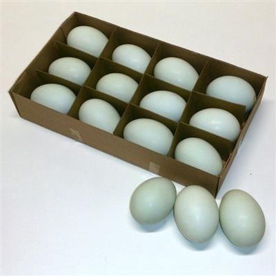 <h4>EI EENDENEI X12 PER DS</h4>