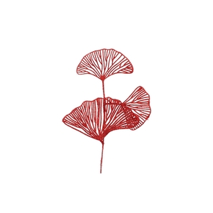 Pick Shine Lotus Jolly Red 40cm Per 12