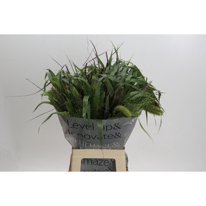 Siergrassen Gemengd in Fust