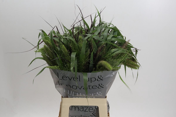 <h4>Siergrassen Gemengd in Fust</h4>