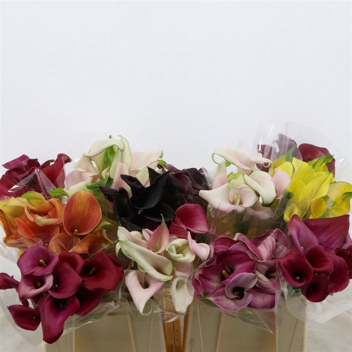 Calla Gemengd In Fust | Dubbelbloemig