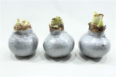 <h4>959 WAX L GRIJS</h4>