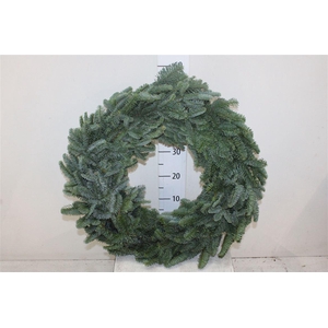 Wreath Half 60 Cm