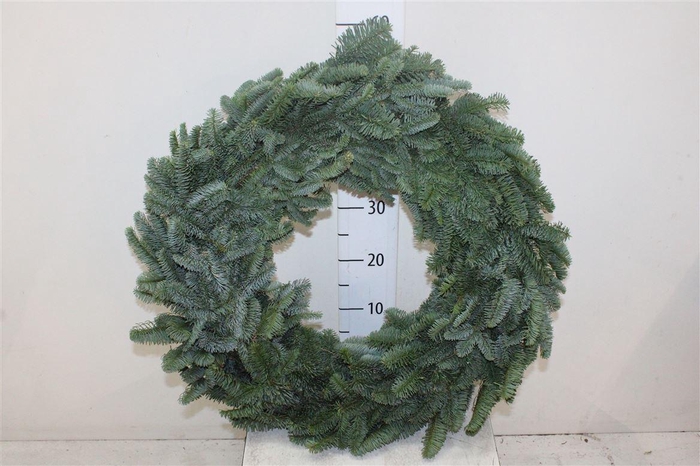 <h4>Wreath Half 60 Cm</h4>