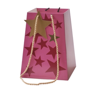 Christmas Bag Starbeat 11/11*15/15*20cm