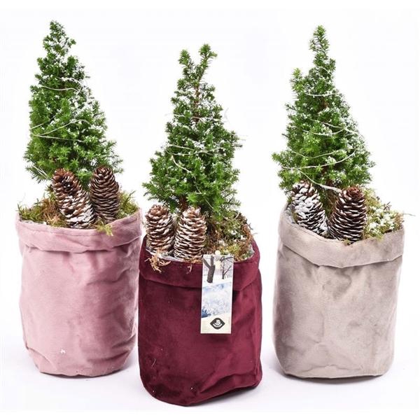 <h4>Fluweel zak 3 kl. mix 13cm met LED</h4>