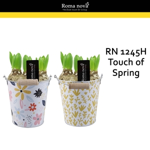 Hya Rom 1245H Touch of Spring