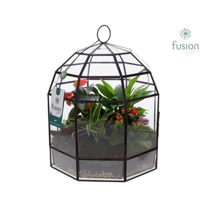 Lantaarn Geometrisch met Terarrium arrangement