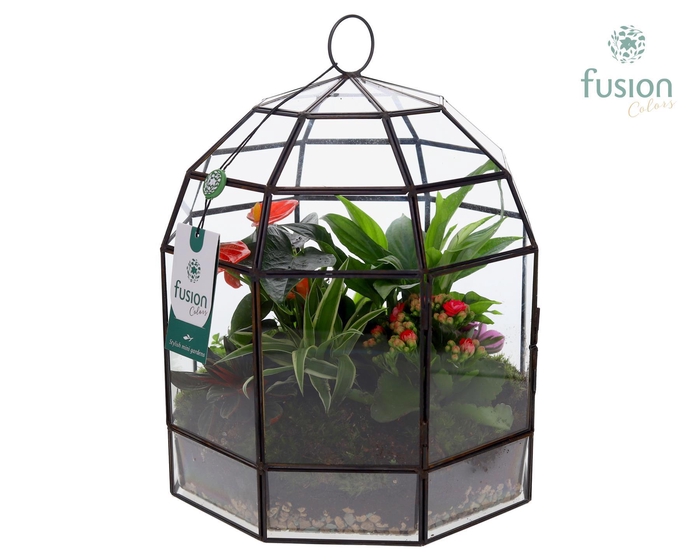 <h4>Lantaarn Geometrisch met Terarrium arrangement</h4>