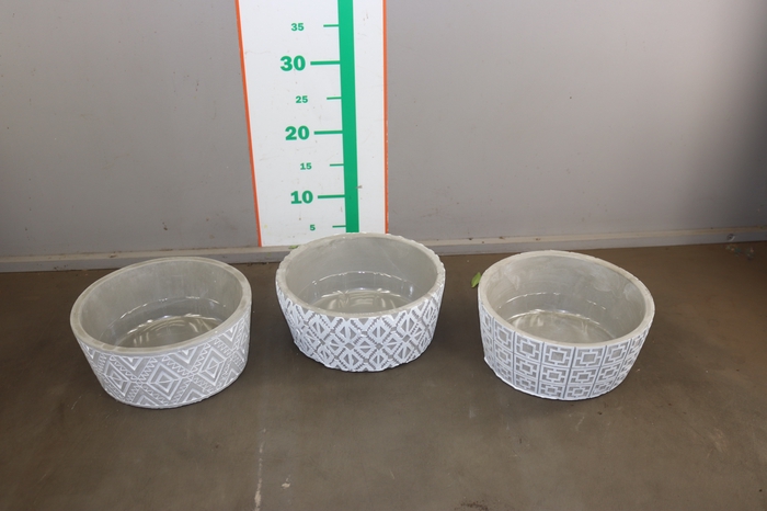 BETON SCHAAL MIX 3 SOORTEN  D21XH9