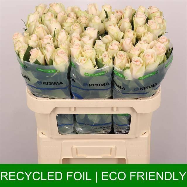 <h4>R GR HIGH & BRIDAL</h4>