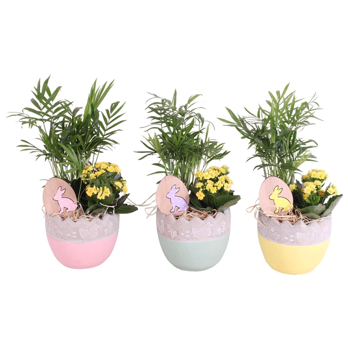 <h4>Easter Arr. Indoor Twotone Ceramic Egg Ø14cm 2PP</h4>